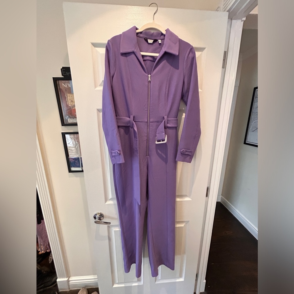 & other stories purple jumpsuit size 8 perfect condition